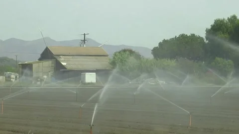 Sprinklers on a Farm Video stock 254654464