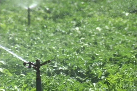 Sprinklers on a Field Vídeos de archivo 137483