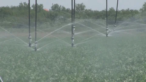 Sprinklers in the field Stock Footage 77457210