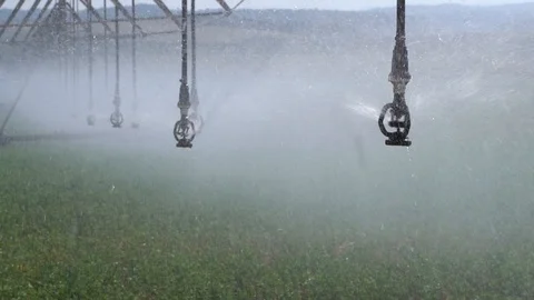 Sprinklers in a field Stock Footage 113951092