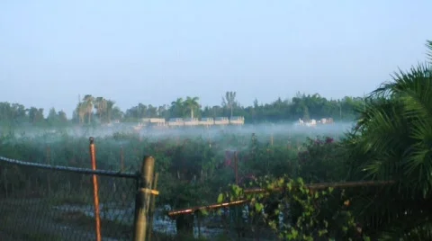 SPRINKLERS 動画素材 479596