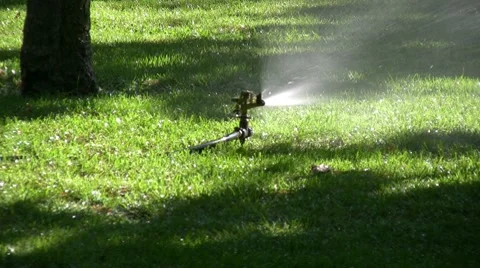 Sprinklers in the garden Stock-Footage 8603816