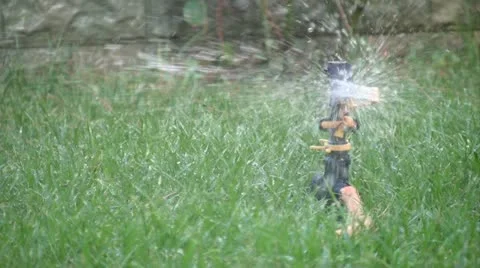 Sprinklers in the garden Stock Footage 11709829