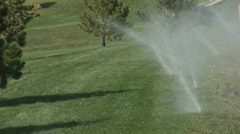 Sprinklers - medium Video stock 85302