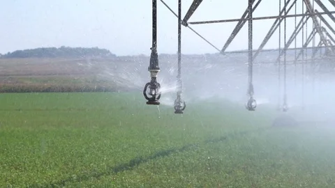 Sprinklers slow motion Stock Footage 113965345