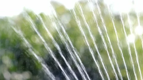 Sprinklers. Sprinkler spraying water on back yard green grass Stock Footage