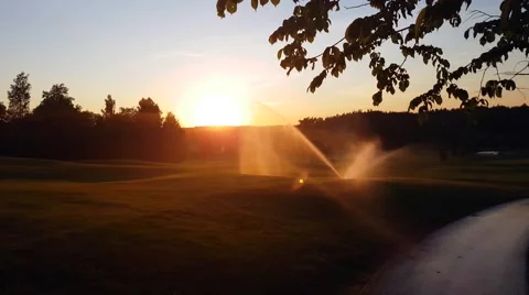 Sprinklers watering the grass, on a orange summer evening, at a golf course Stock Footage