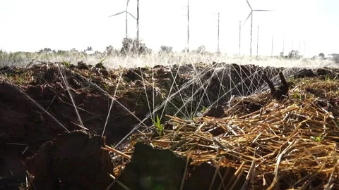 Sprinklers watering vegetable brushes with wind turbine technology Stock Footage 165941891