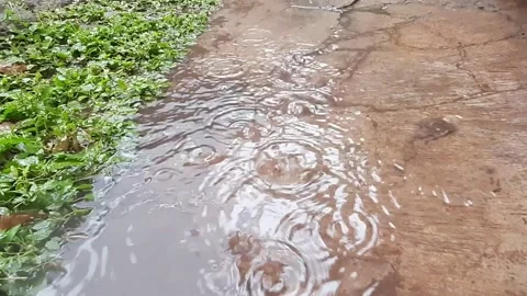 Sprinkles of Rain 库存影片 288709567