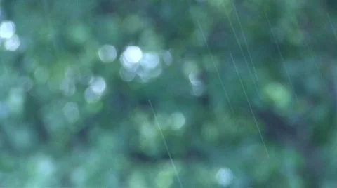 Sprinkling Rain Stock Footage 533248