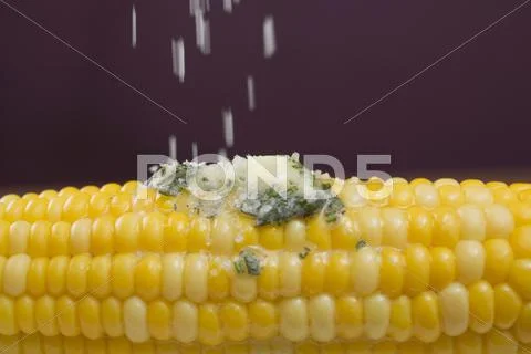 Sprinkling salt on corn on the cob with herb butter Stock Photos