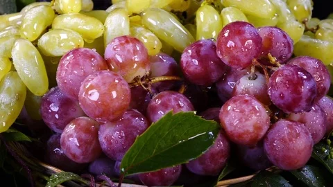 Sprinkling in slow motion, 240fps, of pink and yellow grapes with green leaves Stock Footage 84074751
