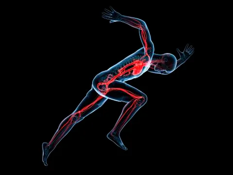 Sprinter, artwork Stock Illustration