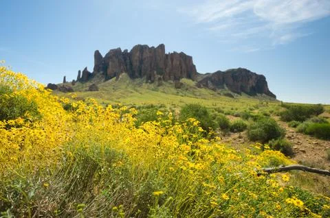 Sprintime in the desert Stock Photos
