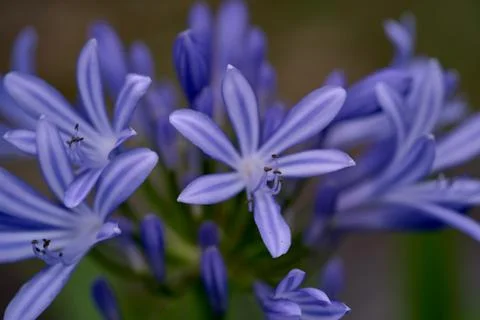 Sprintime before time Stock Photos