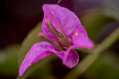 Sprintime before time Stock Photos