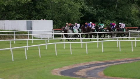 Sprinting race horses Stock-Footage 221721870