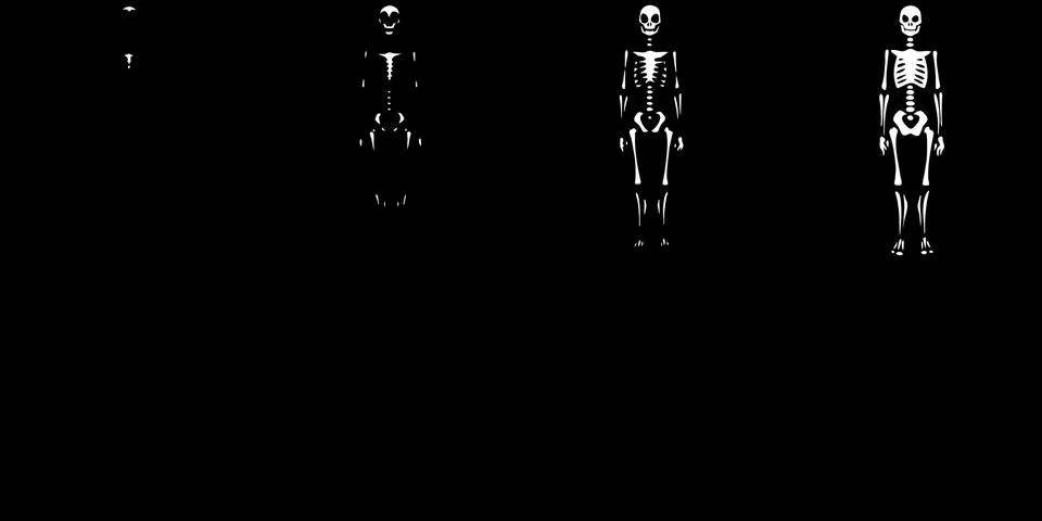 Sprite Sheets Skeleton. Ready for games or cartoon. Stock Illustration