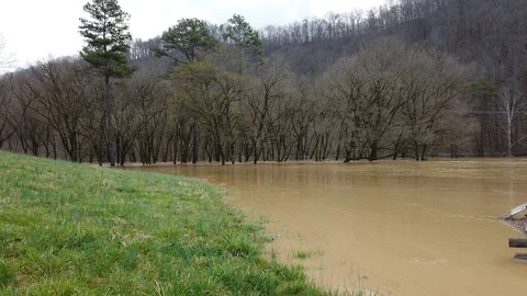 SprngFloodngKY4 動画素材 127927980