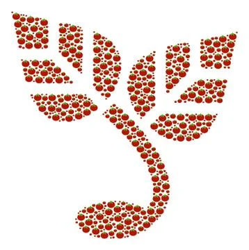 Sprout Composition of Tomato Stock Illustration