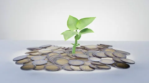 Sprout emerging from coins on white background Stock Footage 297995924