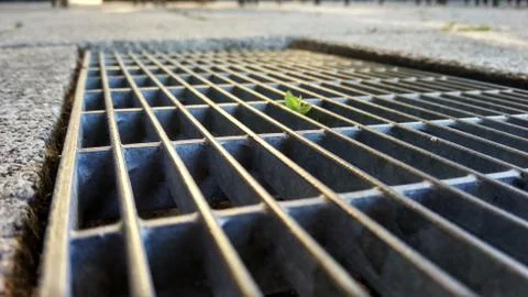 A sprout of a green plant imperceptibly breaks through the grate Stock Photos