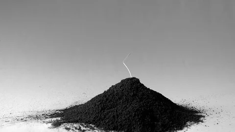 Sprout in the ground Stock-Footage 73631896