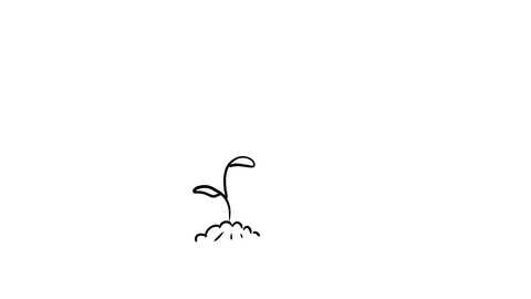 Sprout from the ground Stock Footage 80562867