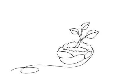 Sprout in the ground. One line drawing animation with alpha channel. Stock Footage 307632404