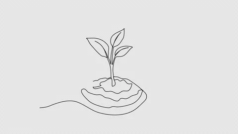 Sprout in the ground. One line drawing animation with alpha channel. Stock Footage 307632413
