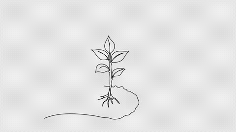 Sprout in the ground. One line drawing animation with alpha channel. Stock Footage 307632414