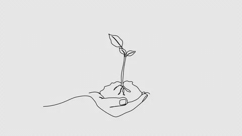 Sprout in the ground. One line drawing animation with alpha channel. Stock Footage 307632415