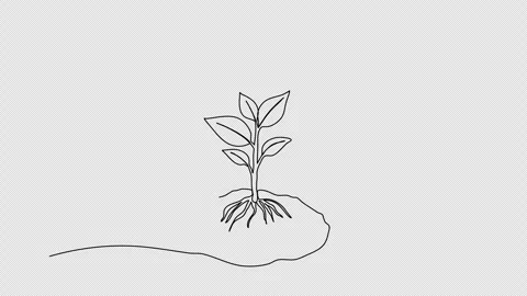 Sprout in the ground. One line drawing animation with alpha channel. Stock Footage 307632428