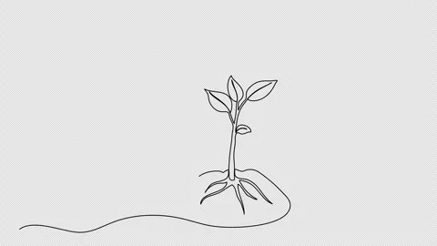 Sprout in the ground. One line drawing animation with alpha channel. Stock Footage 307632565