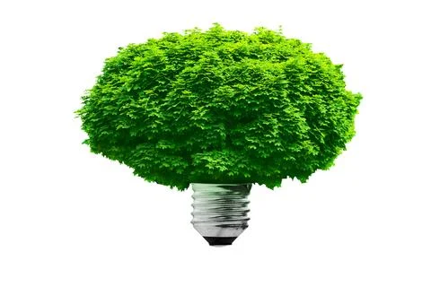 Sprout grows in a lamp 스톡 사진