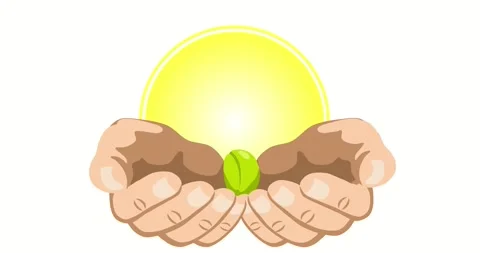 A sprout grows from a seed in the palm of your hand. Ecology.  Animation Stock Footage 154447628