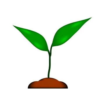 Sprout icon on white. Stock Illustration