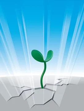 Sprout Stock Illustration