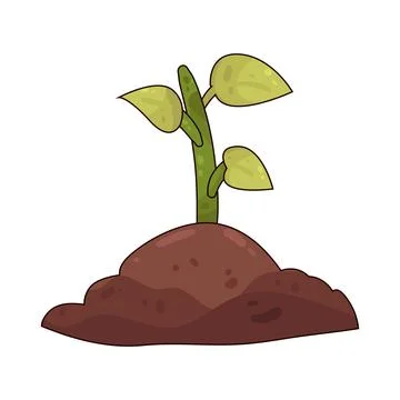 Sprout illustration Stock Illustration