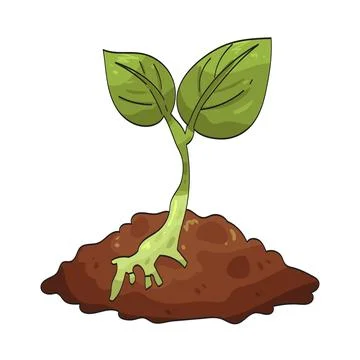 Sprout illustration Stock Illustration