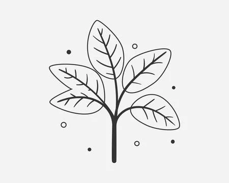 Sprout with leaf vector icon. Plant symbol of nature and environment. Illustrazione stock