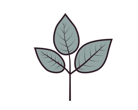 Sprout with leaf vector icon. Plant symbol of nature and environment. 스톡 일러스트