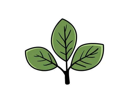 Sprout with leaf vector icon. Plant symbol of nature and environment. 스톡 일러스트
