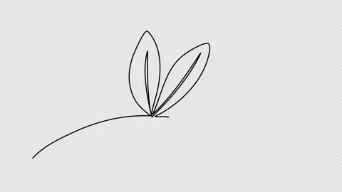 Sprout, one line drawing animation. Video clip with alpha channel. Stock Footage 264900902