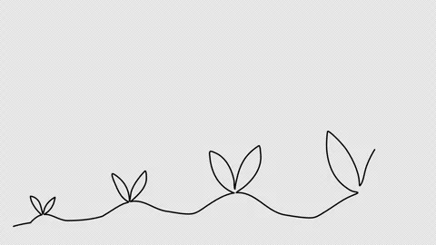 Sprout, one line drawing animation. Video clip with alpha channel. Stock Footage 264905497