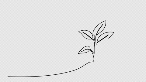 Sprout, one line drawing animation. Video clip with alpha channel. Stock Footage 264906464