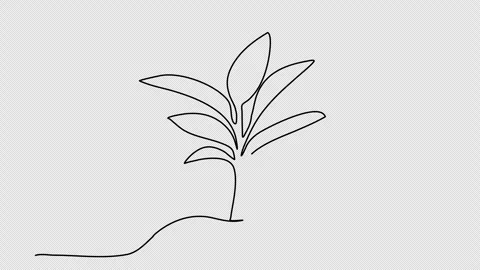 Sprout, one line drawing animation. Video clip with alpha channel. Stock Footage 264909449