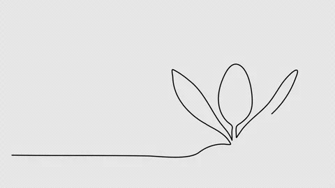 Sprout, one line drawing animation. Video clip with alpha channel. Stock Footage 264919626
