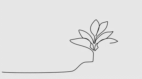 Sprout, one line drawing animation. Video clip with alpha channel. Stock Footage 264919990