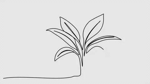 Sprout, one line drawing animation. Video clip with alpha channel. Stock Footage 264920335